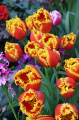 R0013348