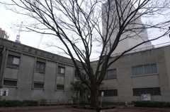 R0011955