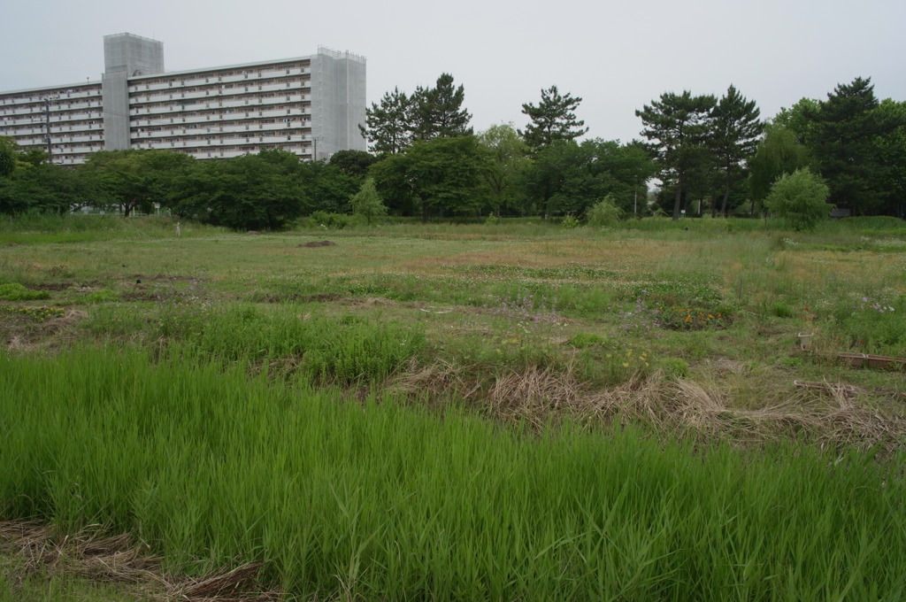 かつて、艦（ふね）が居たところ 2