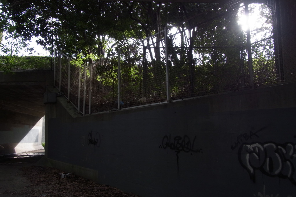 R0011092