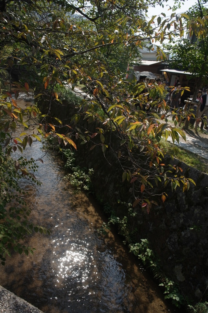 R0012782