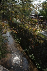 R0012782