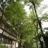 R0012162