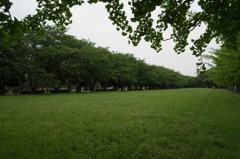 R0012241