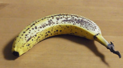 R0011443