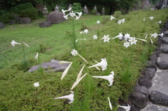 R0012489