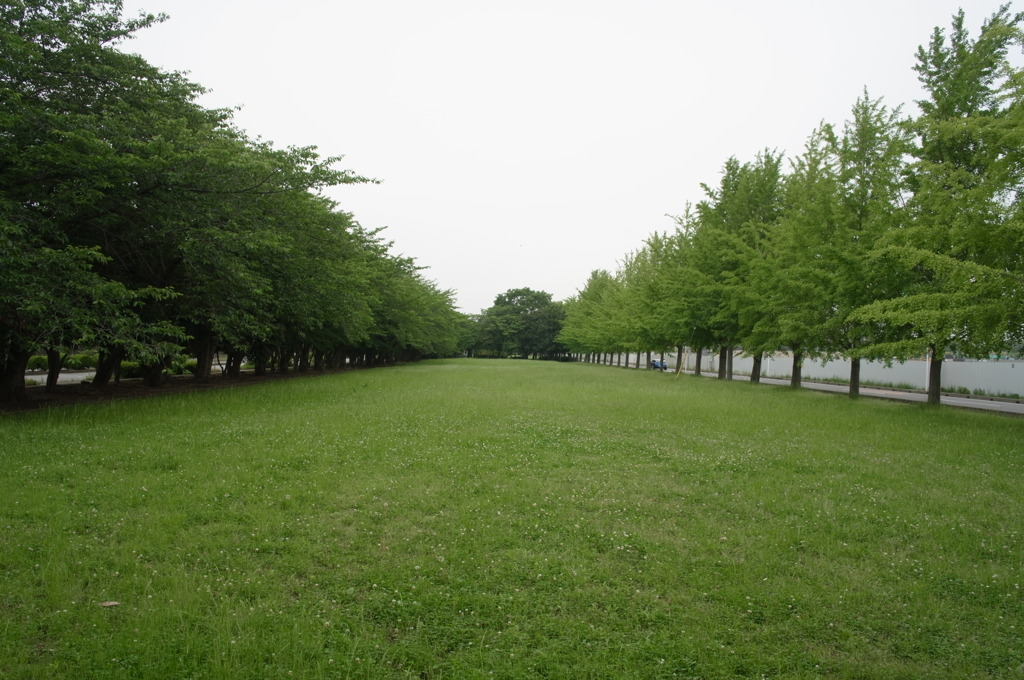 R0012236
