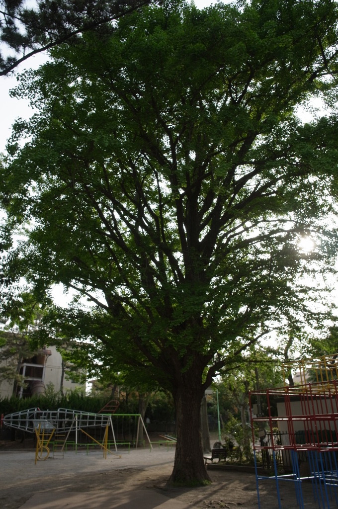 R0012169