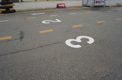 R0012533