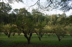 R0012810