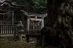 妙成寺