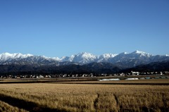 実家の風景