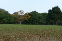江汐公園