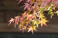 来迎寺