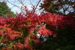 来迎寺