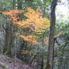 石柱渓