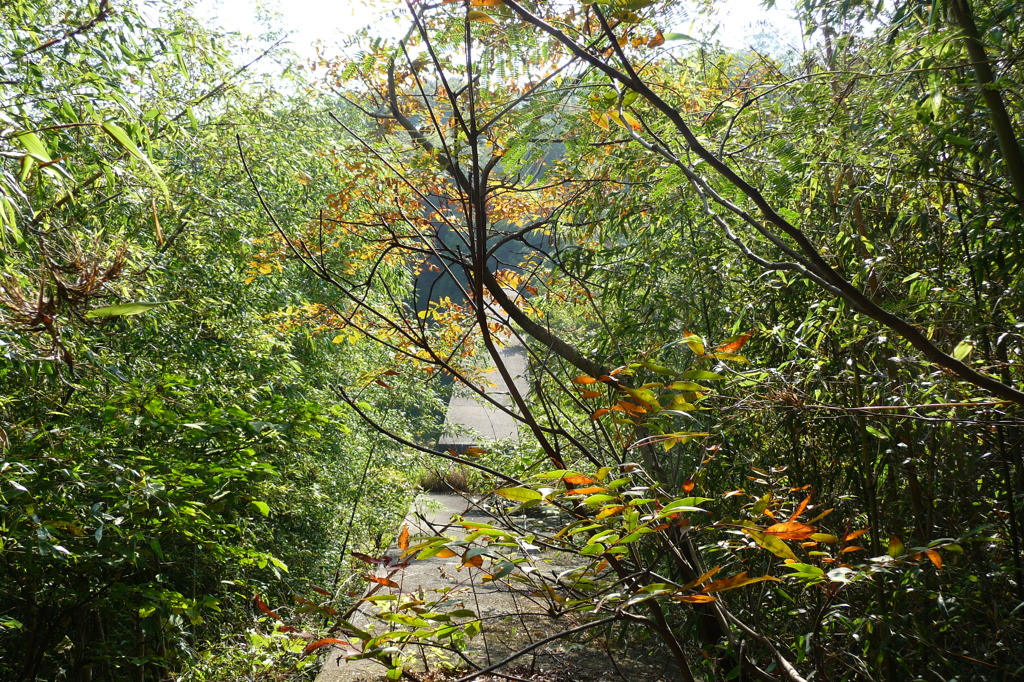 下方川砂防公園（下関市）