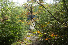 下方川砂防公園（下関市）