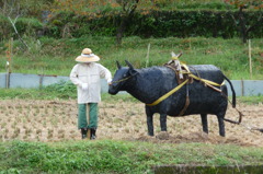 やまくにかかしワールド２０１０
