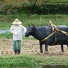 やまくにかかしワールド２０１０
