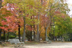 叶松児童公園