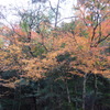 石柱渓