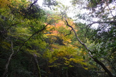 石柱渓