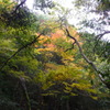 石柱渓