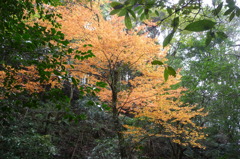 石柱渓