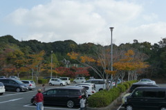 江汐公園