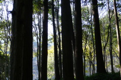 下方川砂防公園（下関市）