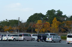 江汐公園