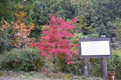 石柱渓