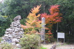 石柱渓