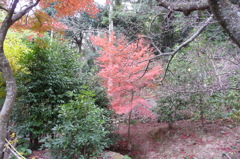 両足寺