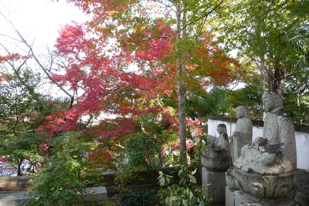 来迎寺