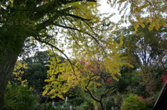 来迎寺