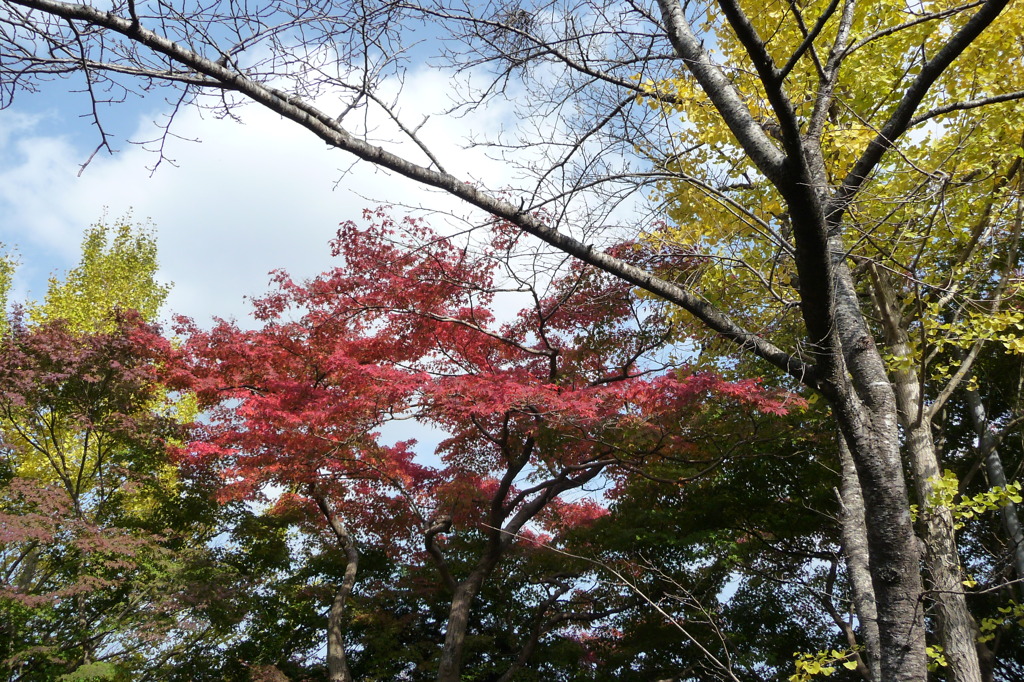 来迎寺