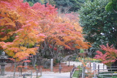 両足寺