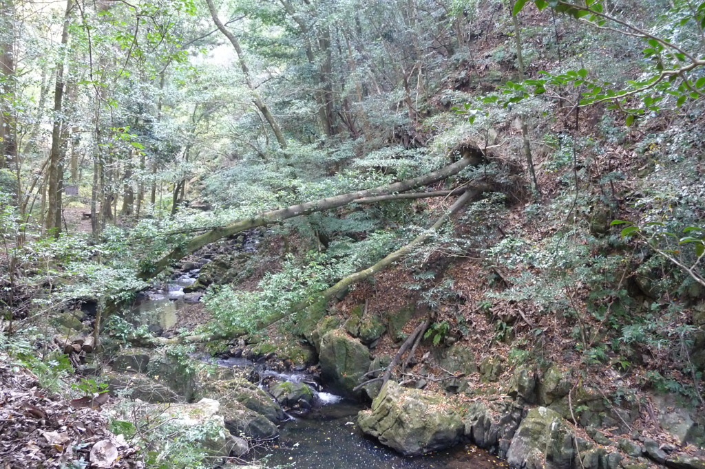 初冬の石柱渓
