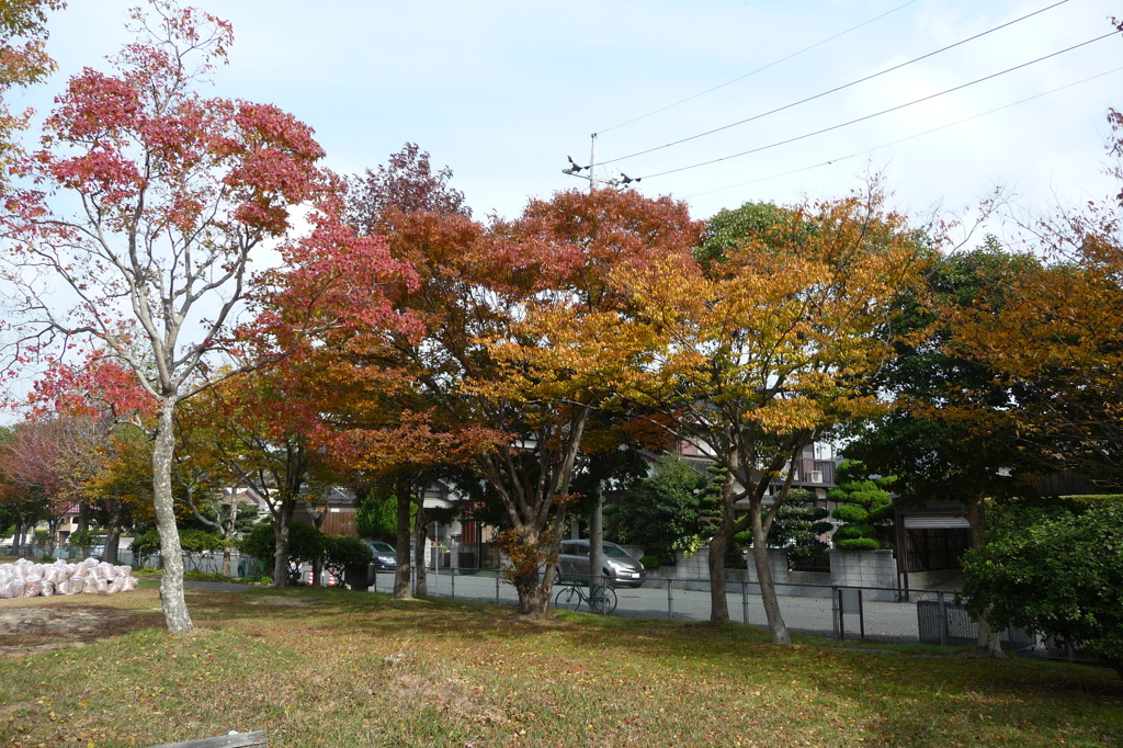 叶松児童公園