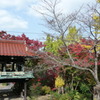 来迎寺