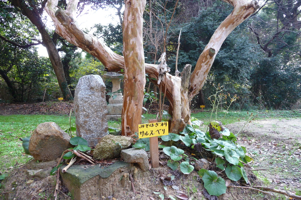 津布田八幡宮