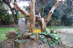 津布田八幡宮