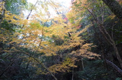 石柱渓