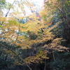 石柱渓