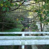 下方川砂防公園（下関市）