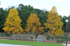 江汐公園