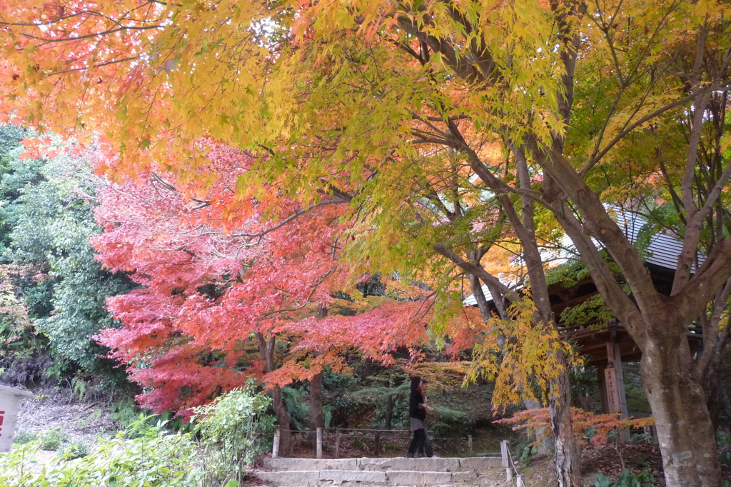 両足寺