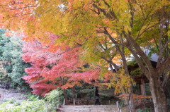 両足寺